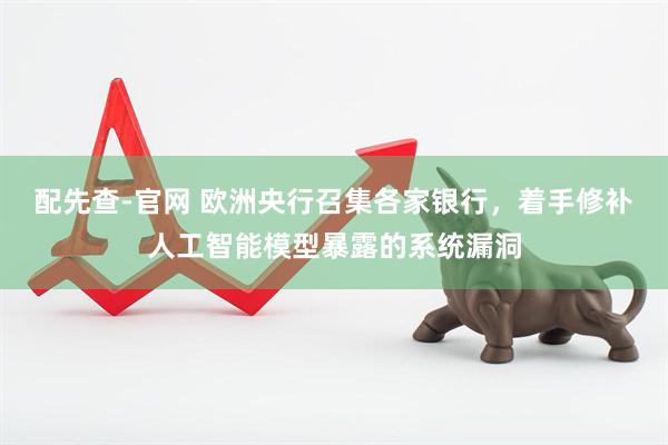 配先查-官网 欧洲央行召集各家银行，着手修补人工智能模型暴露的系统漏洞